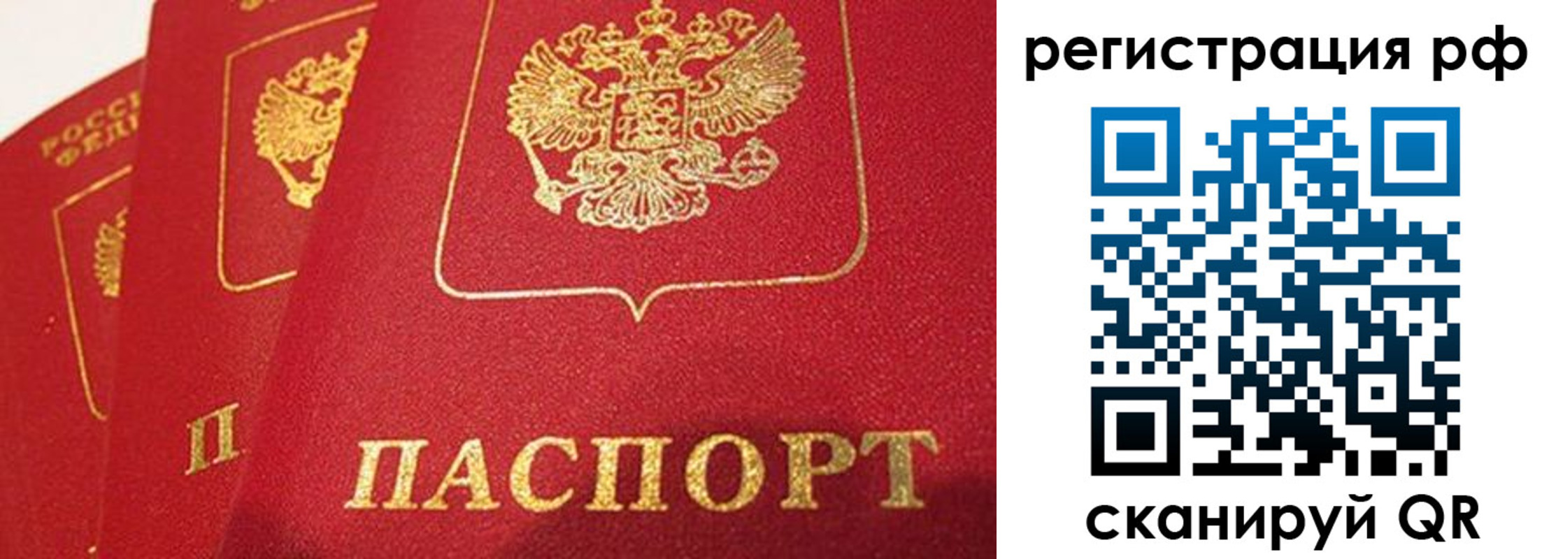 прописка поиск в Чебоксарах